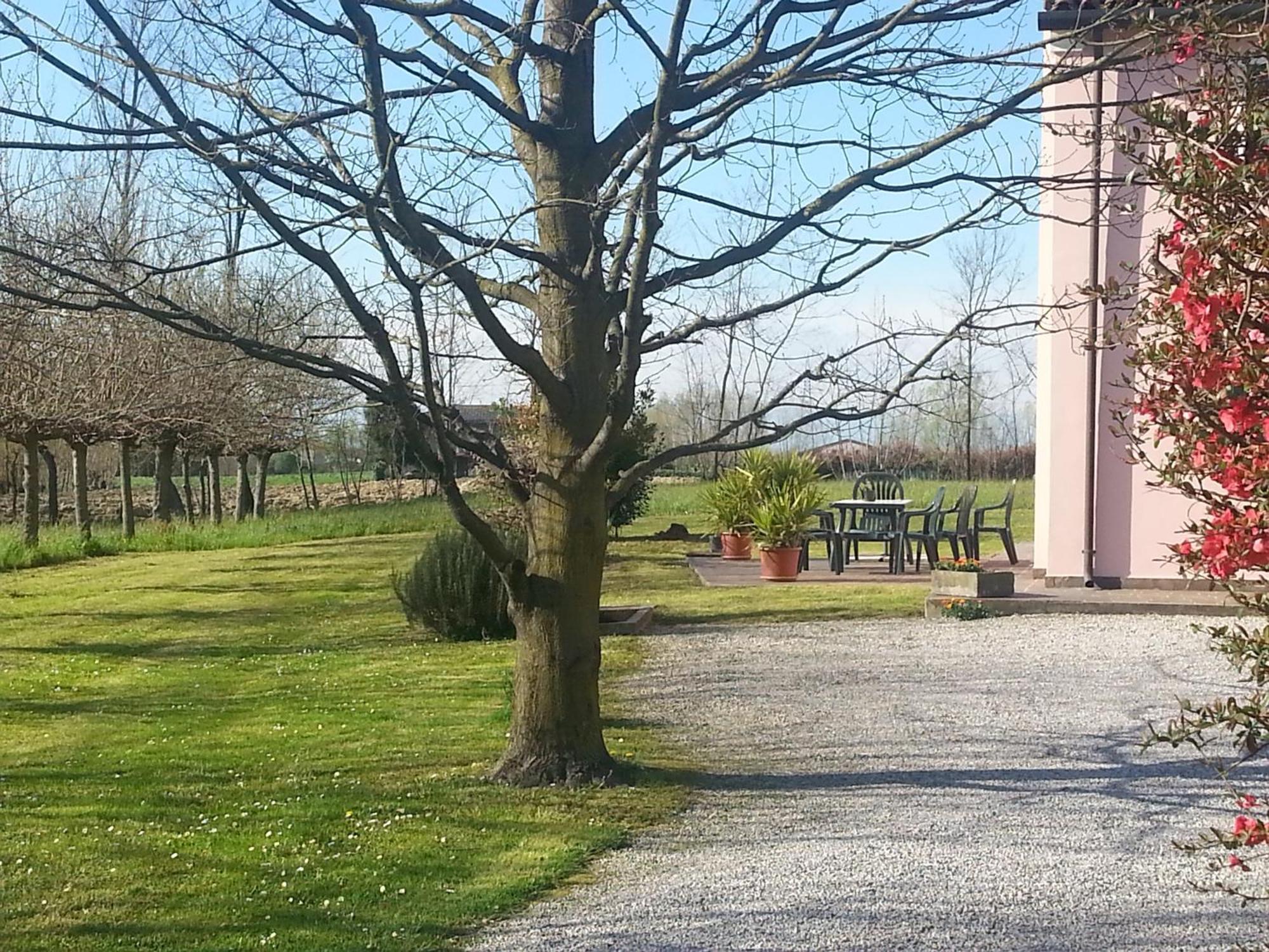 Casarosa B&B Piazzola sul Brenta Kültér fotó